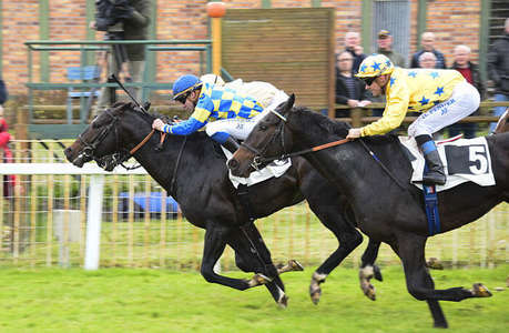 Actualités Hippiques